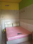 小姑娘花1950元老屋改造8.5㎡出租屋