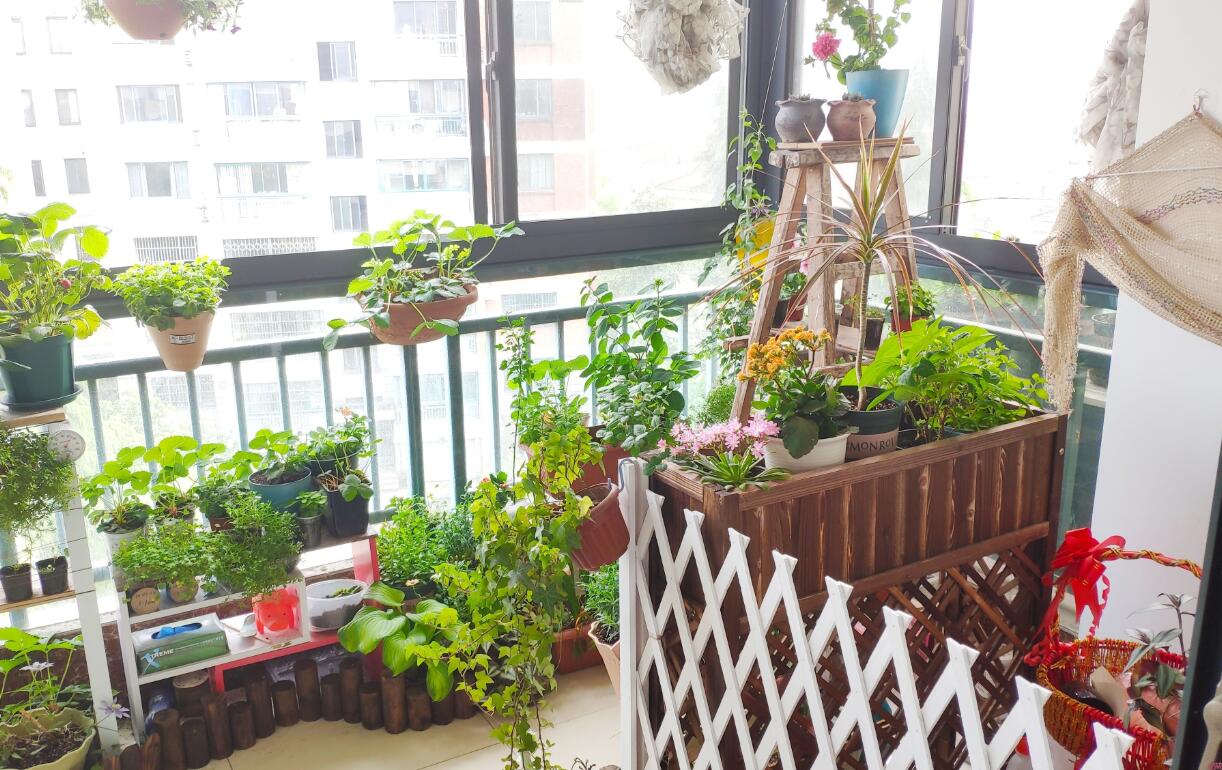 创意阳台小花园，你可以这样来改造（二）