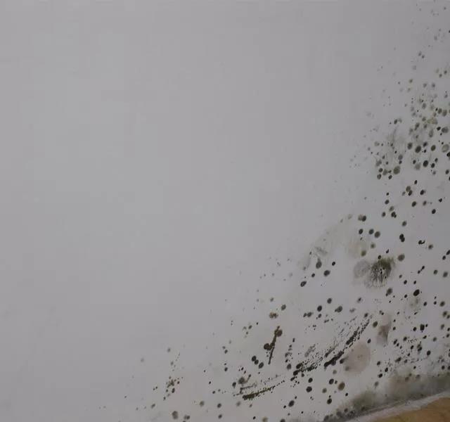 不要小瞧这些墙面问题，安全隐患一定要排除